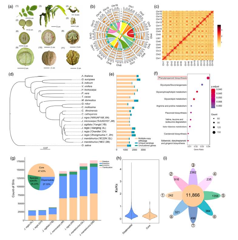 图示 AI 生成的内容可能不正确。